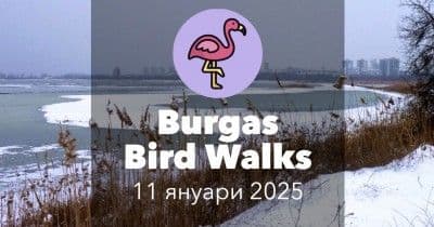 Get to know the world of birds near Burgas with observation tours